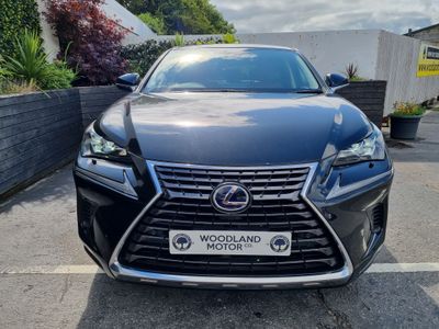 2020 Lexus NX