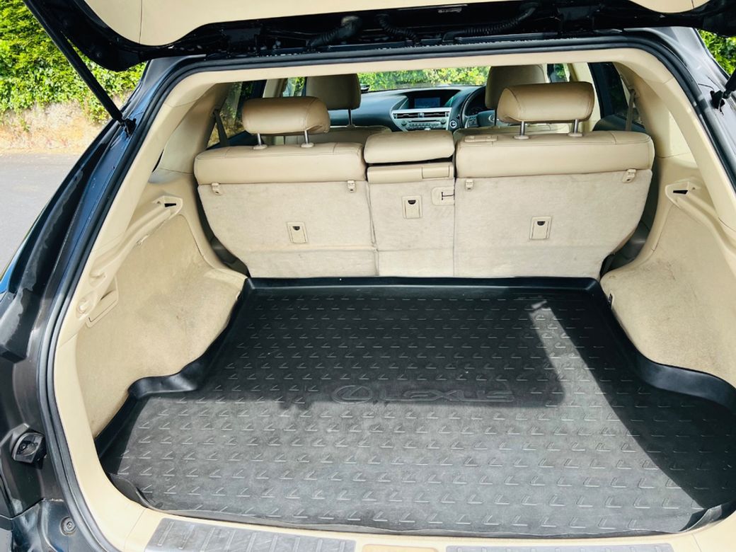 2010 Lexus RX450h