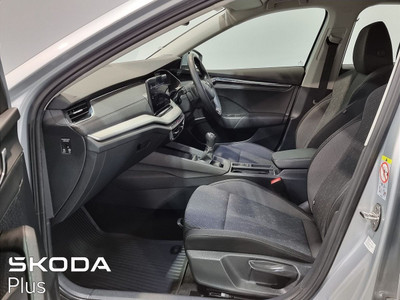 2023 Skoda Octavia