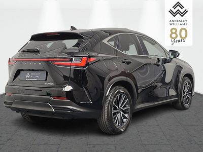 2025 Lexus NX