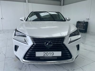2019 Lexus NX