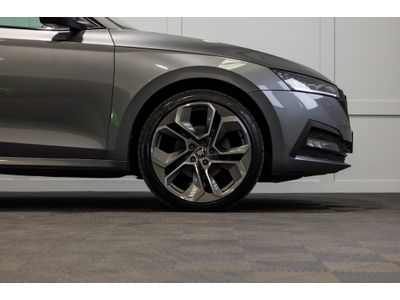 2023 Skoda Octavia