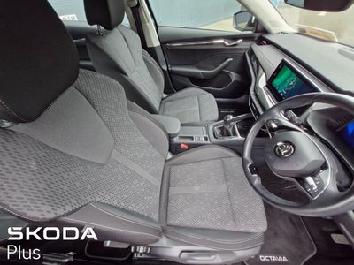 2023 Skoda Octavia