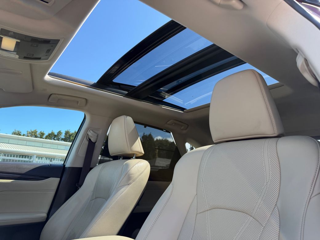 2019 Lexus RX