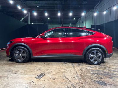 2021 Ford Mustang Mach-e