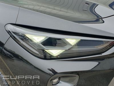 2025 Cupra Terramar