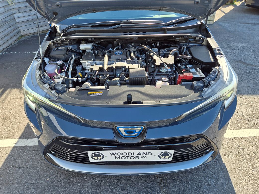 2023 Toyota Corolla