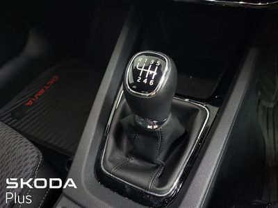 2023 Skoda Octavia