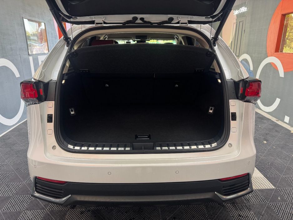 2019 Lexus NX 300h