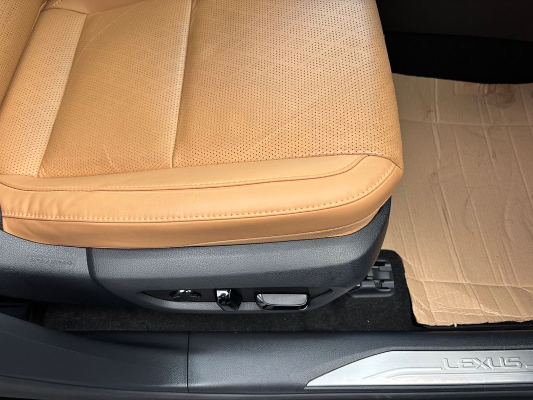 2025 Lexus RX