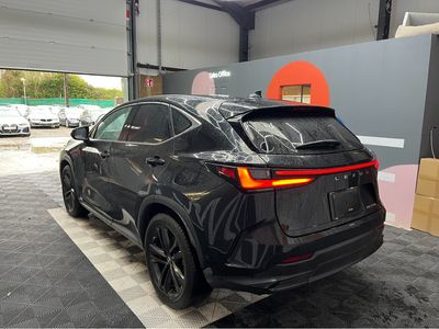2023 Lexus NX