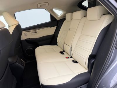 2021 Lexus NX 300h