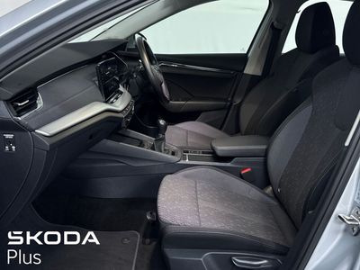 2023 Skoda Octavia