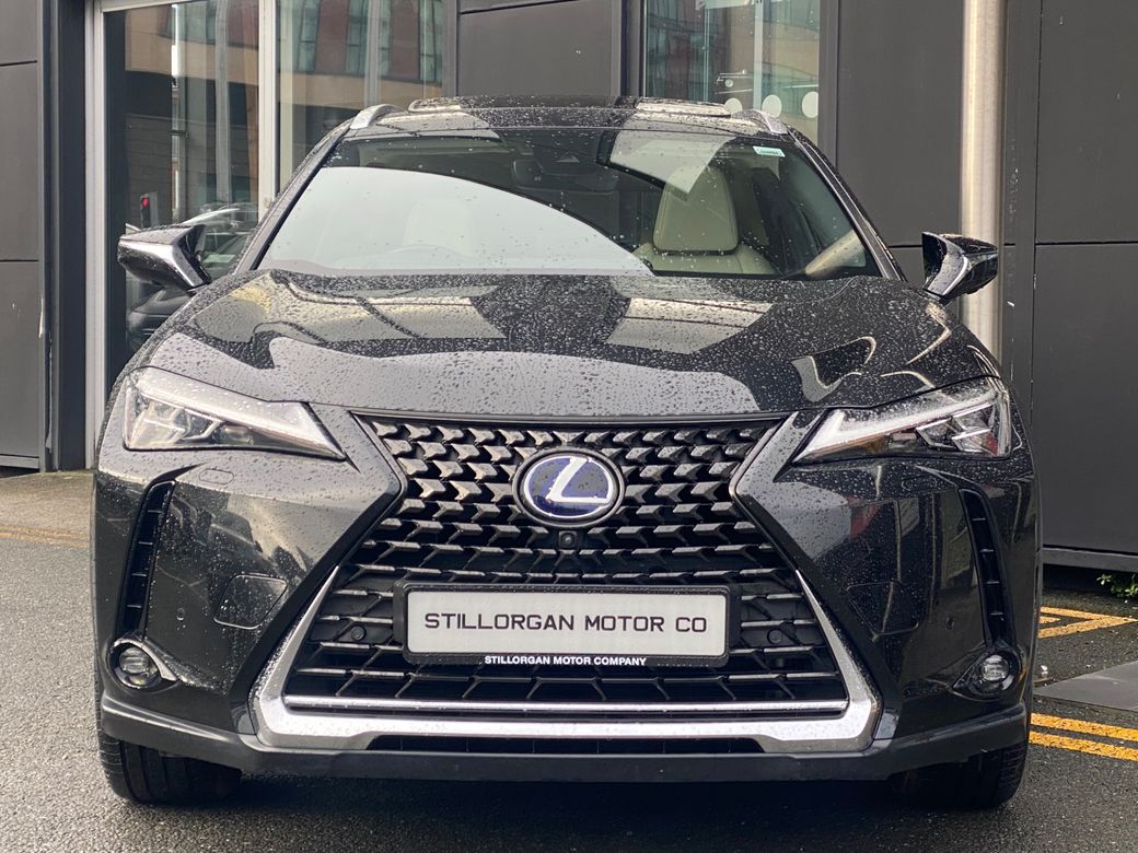 2021 Lexus UX 300e