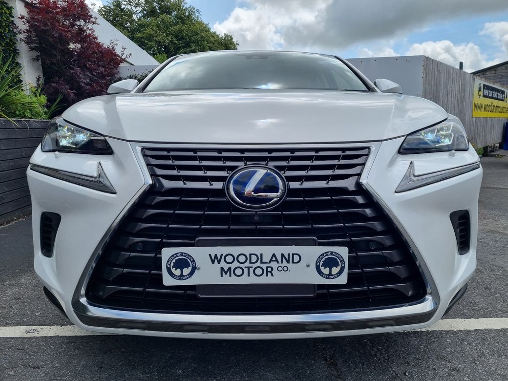 2020 Lexus NX