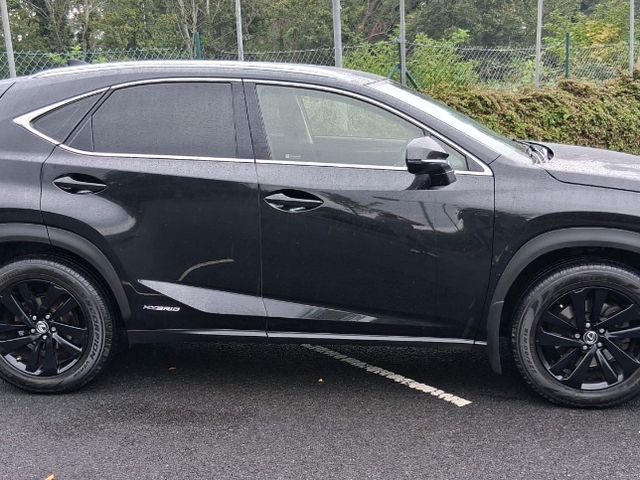 2019 Lexus NX