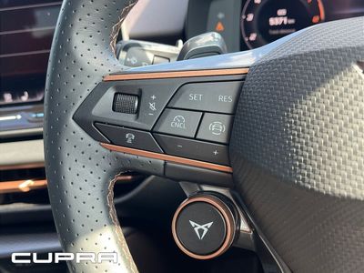 2025 Cupra Terramar