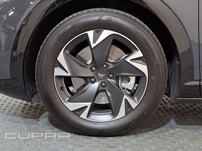 2026 Cupra Tavascan