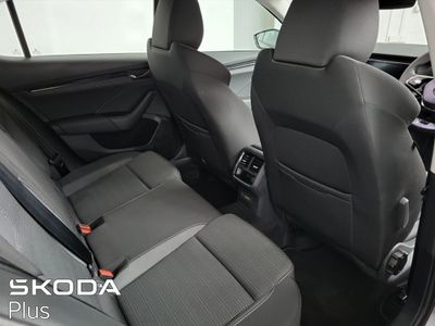 2023 Skoda Octavia