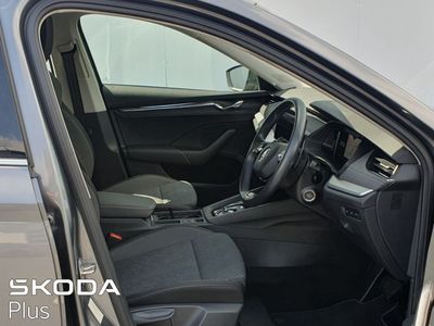 2023 Skoda Octavia