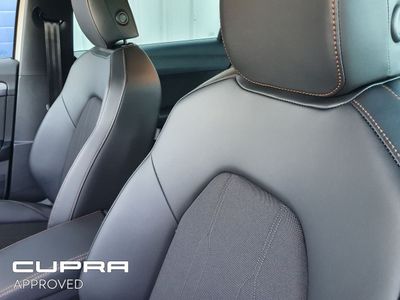 2024 Cupra Leon