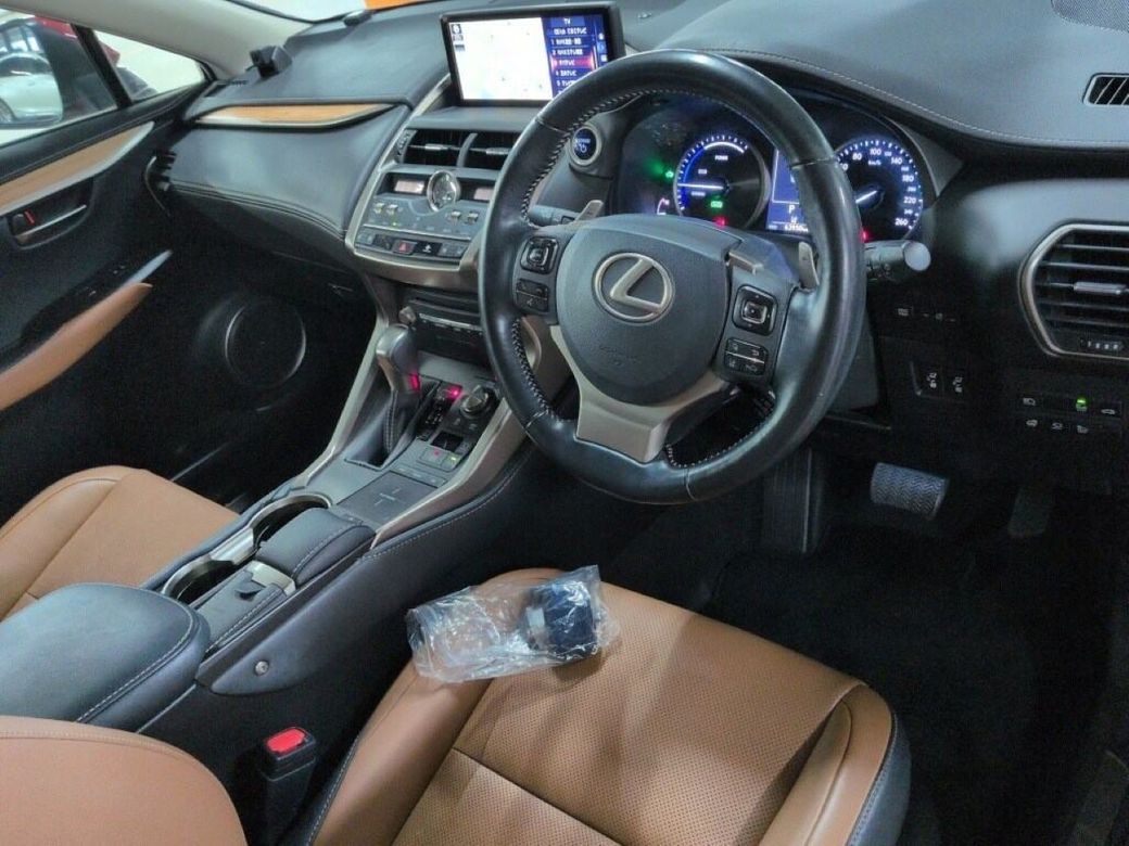 2019 Lexus NX 300h