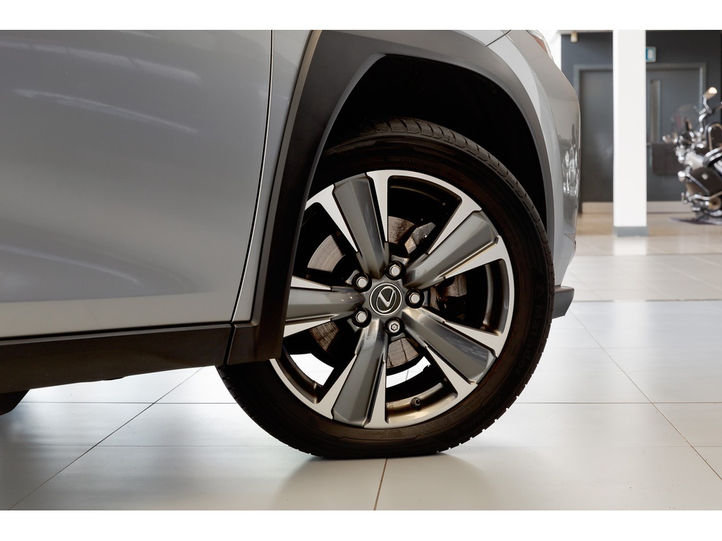 2021 Lexus UX 300e