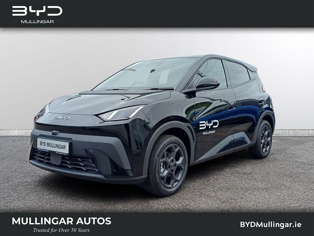 2026 BYD Dolphin Surf