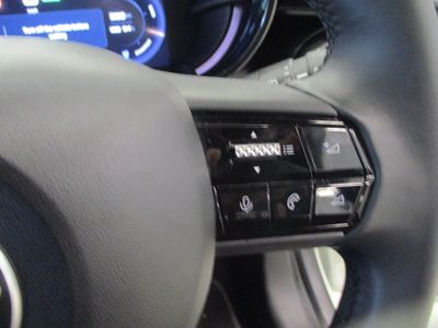 2025 Alfa Romeo Junior