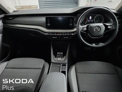 2023 Skoda Octavia