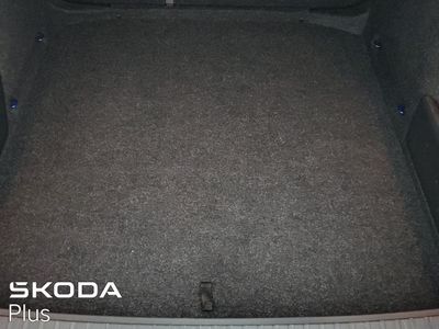 2023 Skoda Octavia