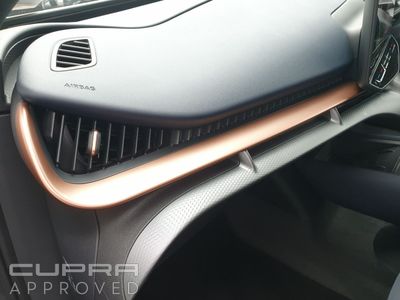 2026 Cupra Tavascan