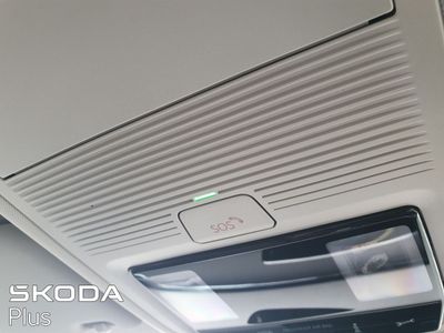 2023 Skoda Octavia