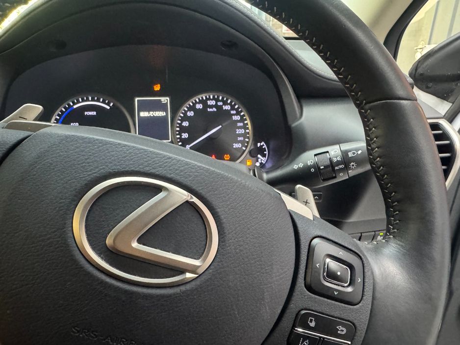 2019 Lexus NX 300h