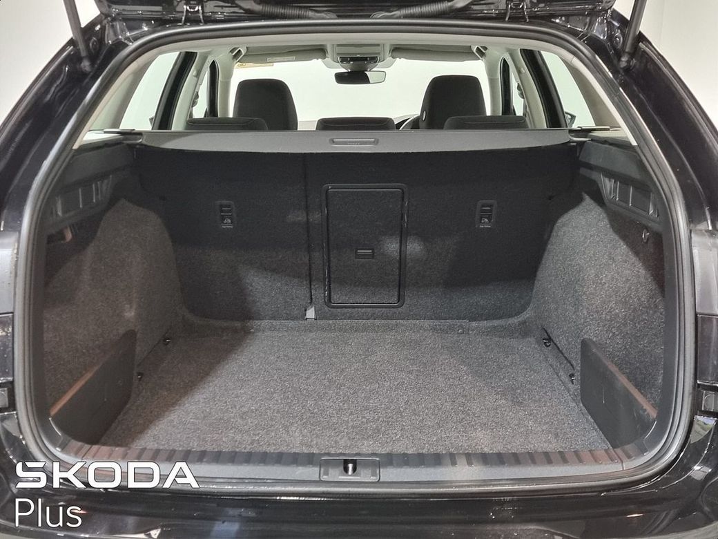2023 Skoda Octavia
