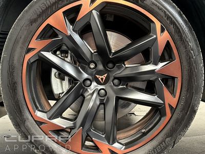 2026 Cupra Terramar