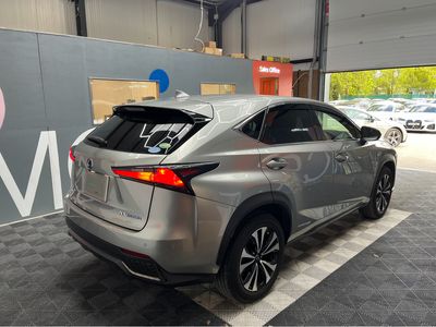2020 Lexus NX