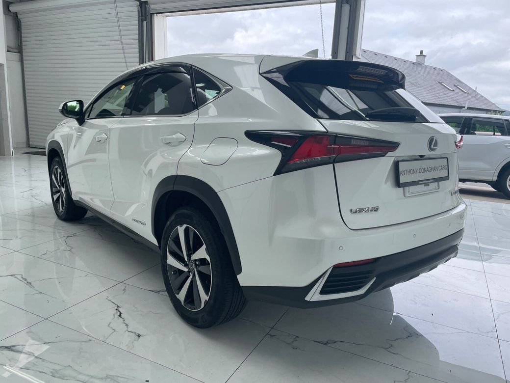 2019 Lexus NX