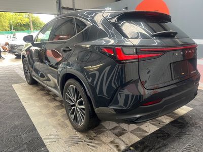 2023 Lexus NX