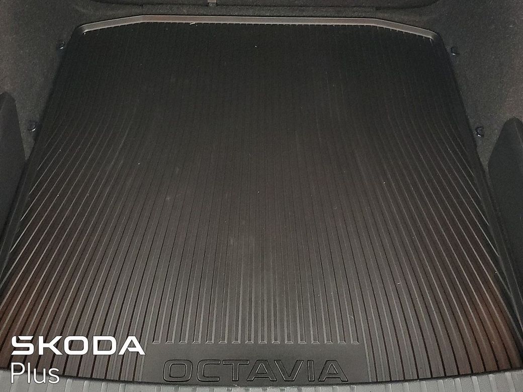 2023 Skoda Octavia