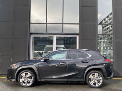 2021 Lexus UX 300e