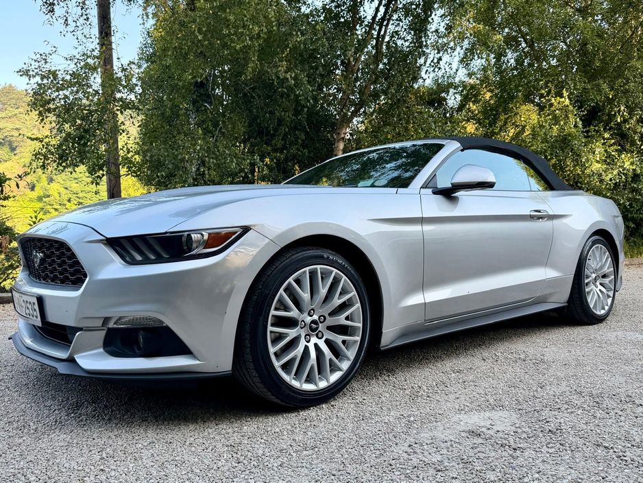 2019 Ford Mustang