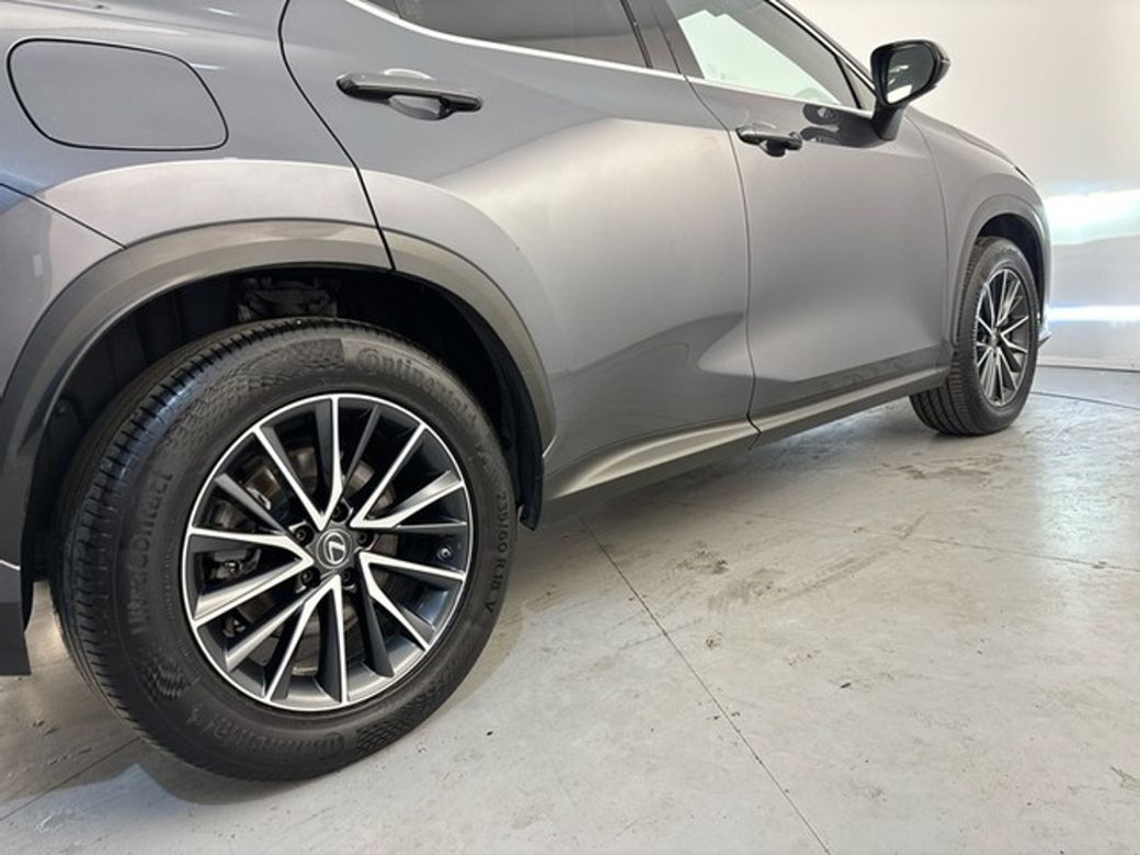 2022 Lexus NX 450H+