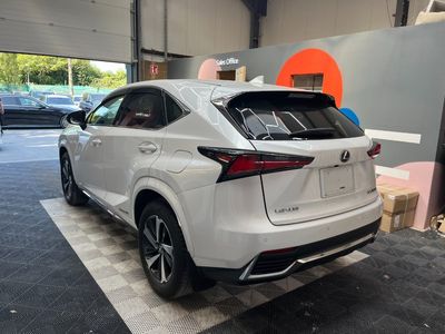 2019 Lexus NX 300h