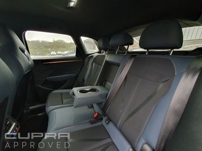 2025 Cupra Terramar