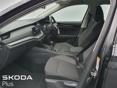 2022 Skoda Octavia