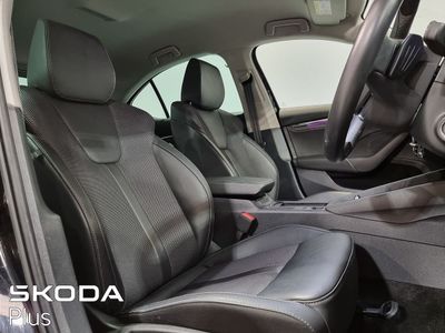 2023 Skoda Octavia