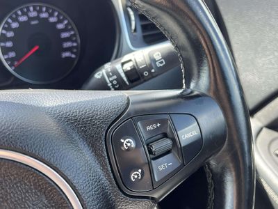 2014 Kia Carens