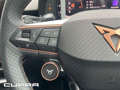 2026 Cupra Terramar
