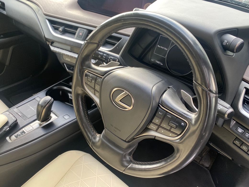 2021 Lexus UX 300e